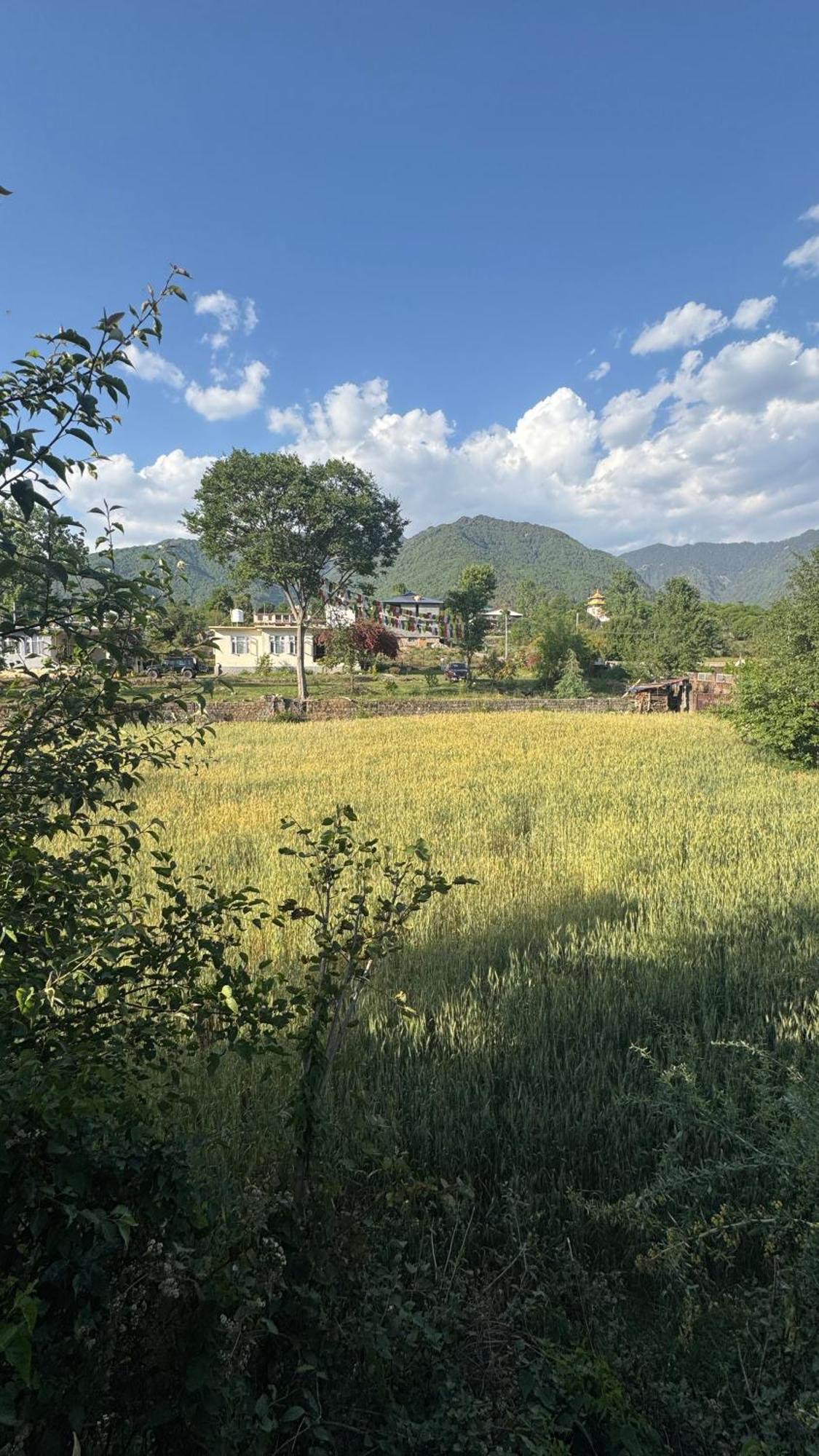 Namlang Resort Bīr Extérieur photo